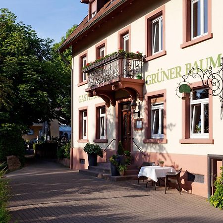 Hotel & Restaurant Gruener Baum Merzhausen Esterno foto