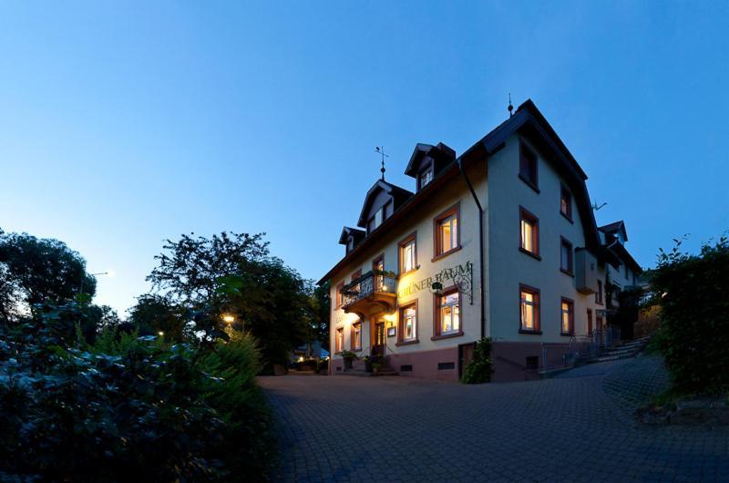 Hotel & Restaurant Gruener Baum Merzhausen Esterno foto