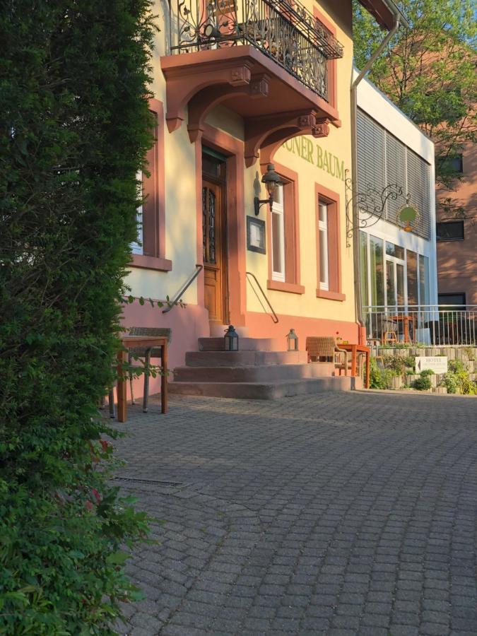 Hotel & Restaurant Gruener Baum Merzhausen Esterno foto